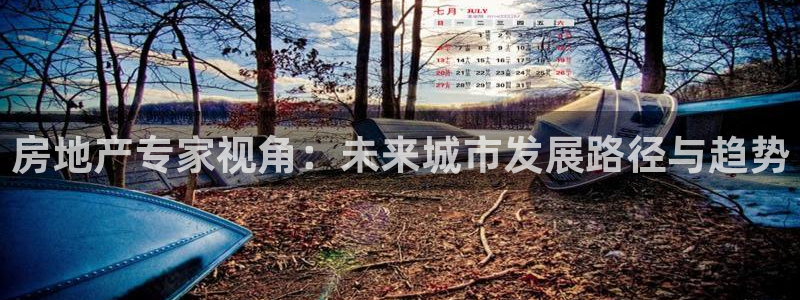 新宝5如何注册：房地产专家视角：未来城市发展路径与趋势