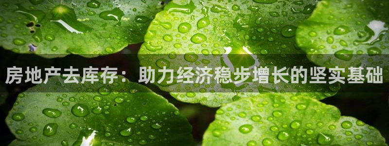 新宝5娱乐招商