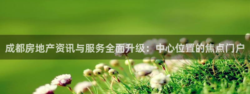 新宝那2O5O5O：成都房地产资讯与服务全面升级：中心位置的