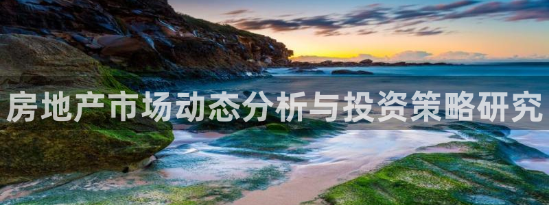 新宝5公司：房地产市场动态分析与投资策略研究