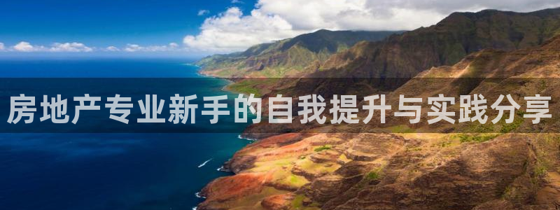 新宝5日：房地产专业新手的自我提升与实践分享