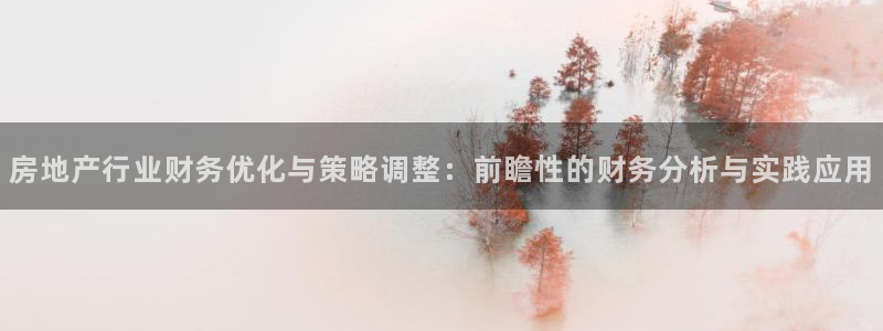 新宝5娱乐登陆：房地产行业财务优化与策略调整：前瞻性的财务分