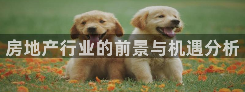 新宝5登录测速中心：房地产行业的前景与机遇分析