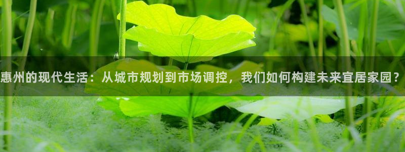 新宝5：惠州的现代生活：从城市规划到市场调控，我们如何构建未