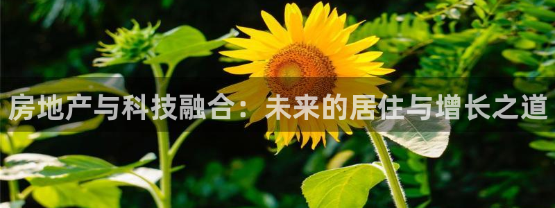 新宝骏rc5W：房地产与科技融合：未来的居住与增长之道