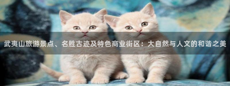 2022新宝骏rs 5：武夷山旅游景点、名胜古迹及特色商业街