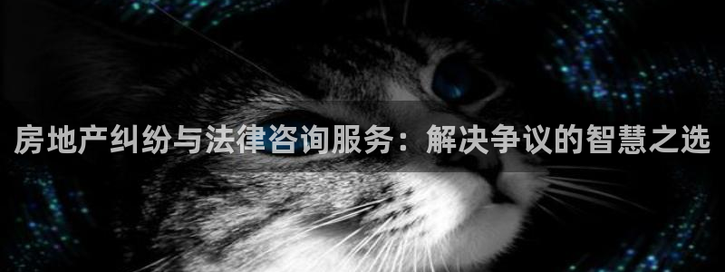 新宝5注册账号：房地产纠纷与法律咨询服务：解决争议的智慧之选
