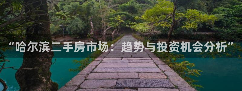 新宝5首页：“哈尔滨二手房市场：趋势与投资机会分析”
