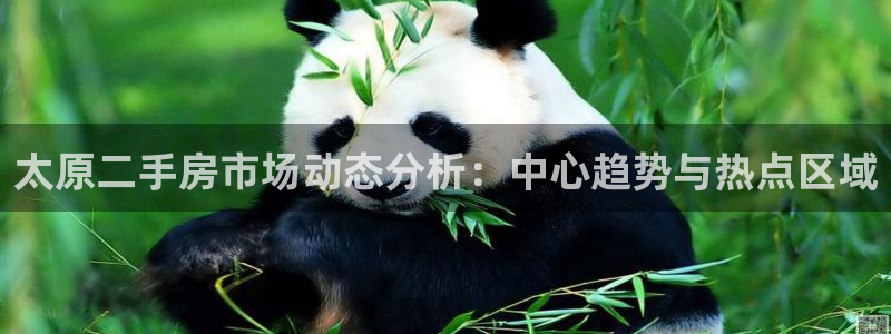 新宝5玩法：太原二手房市场动态分析：中心趋势与热点区域