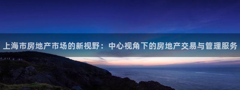 新宝5寻33 300球：上海市房地产市场的新视野：中心视角下