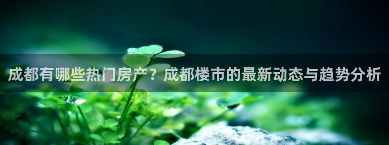 新宝_5：成都有哪些热门房产？成都楼市的最新动态与趋势分析