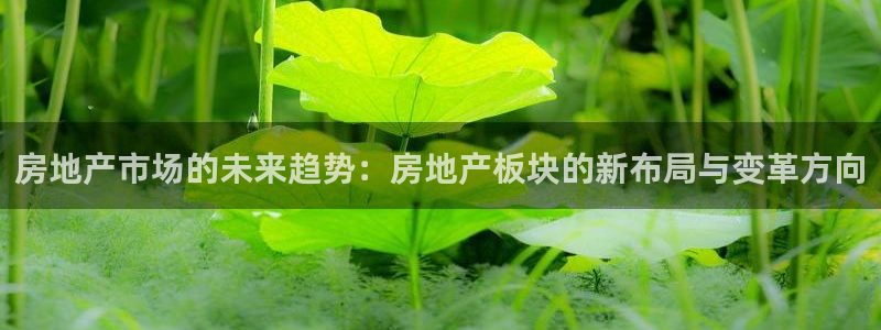 新宝5娱乐手机登录：房地产市场的未来趋势：房地产板块的新布局