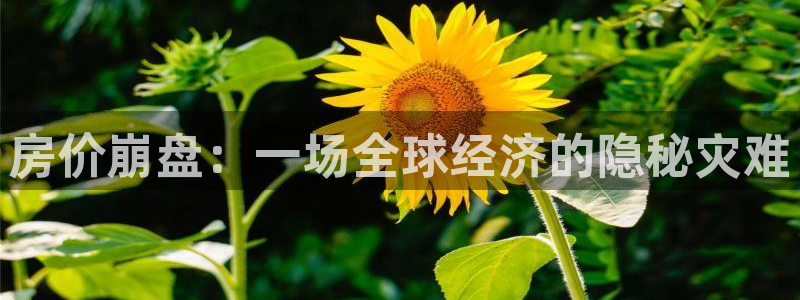 新宝j2O5O5O：房价崩盘：一场全球经济的隐秘灾难