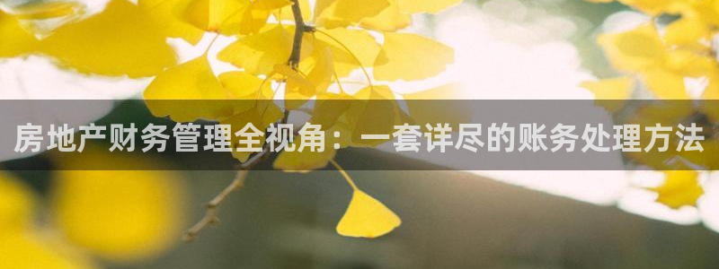 新宝xb5：房地产财务管理全视角：一套详尽的账务处理方法
