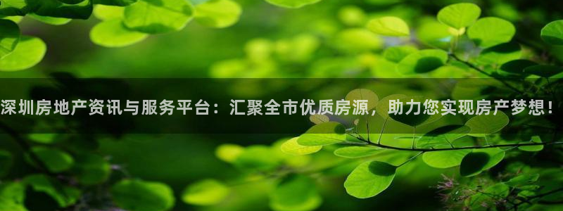 新宝5巅峰：深圳房地产资讯与服务平台：汇聚全市优质房源，助力