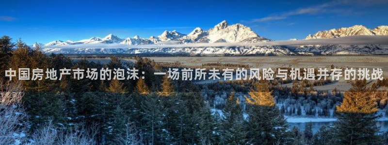 新宝5注册首页：中国房地产市场的泡沫：一场前所未有的风险与机