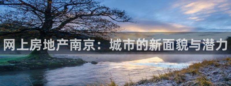 新宝5彩票是正规平台吗：网上房地产南京：城市的新面貌与潜力