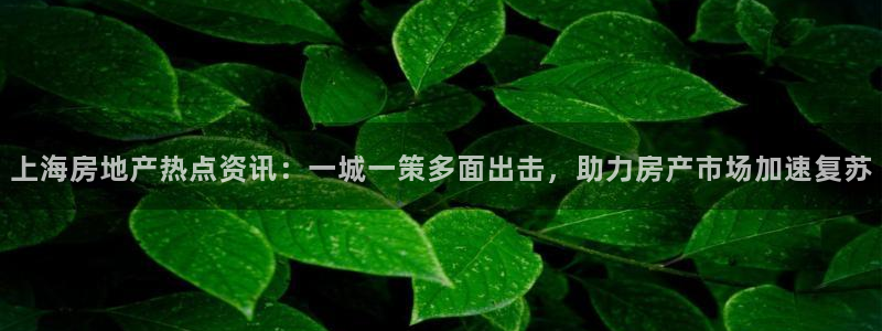 新宝xb5：上海房地产热点资讯：一城一策多面出击，助力房产市