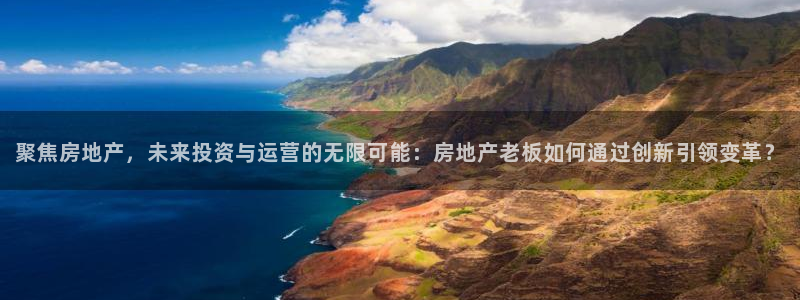 新宝5分彩：聚焦房地产，未来投资与运营的无限可能：房地产老板