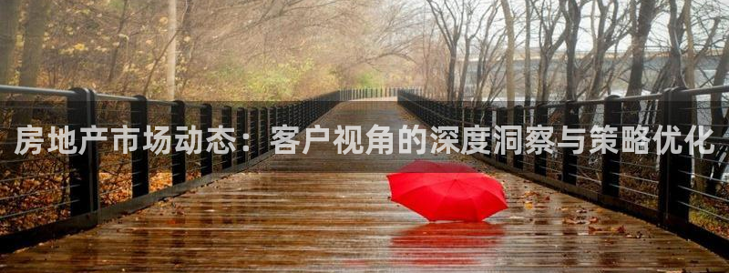 新宝5测试：房地产市场动态：客户视角的深度洞察与策略优化