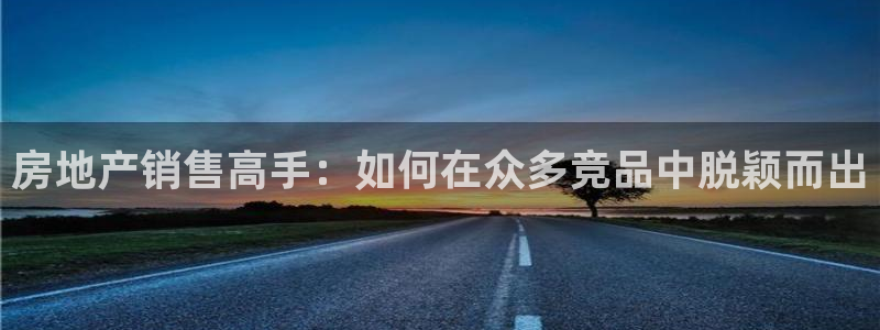 新宝集团新宝5：房地产销售高手：如何在众多竞品中脱颖而出
