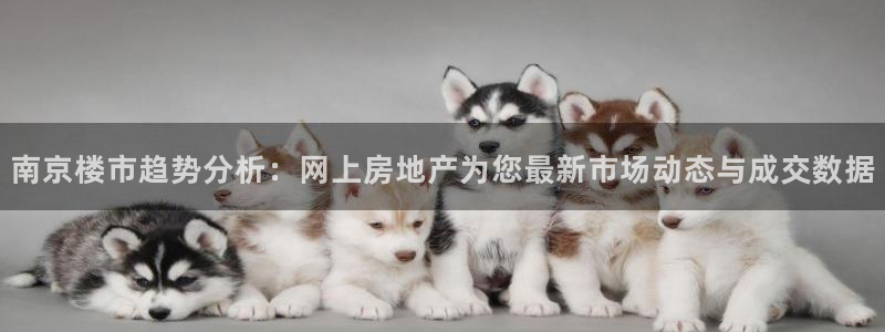 新宝gg5：南京楼市趋势分析：网上房地产为您最新市场动态与成