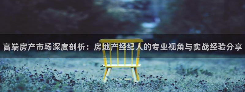 新宝5郑74OOO5：高端房产市场深度剖析：房地产经纪人的专