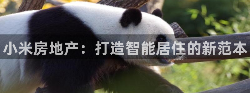 皇冠新宝5：小米房地产：打造智能居住的新范本