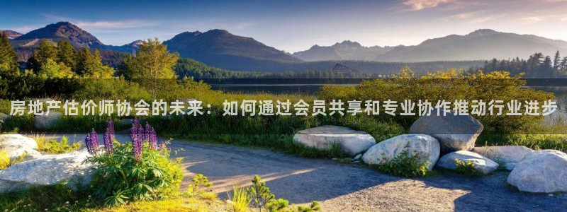 新宝骏rc5W：房地产估价师协会的未来：如何通过会员共享和专