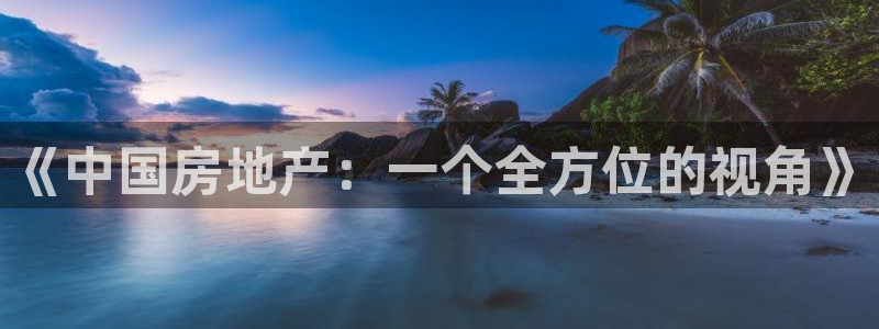 新宝股东张听2 5 5：《中国房地产：一个全方位的视角》