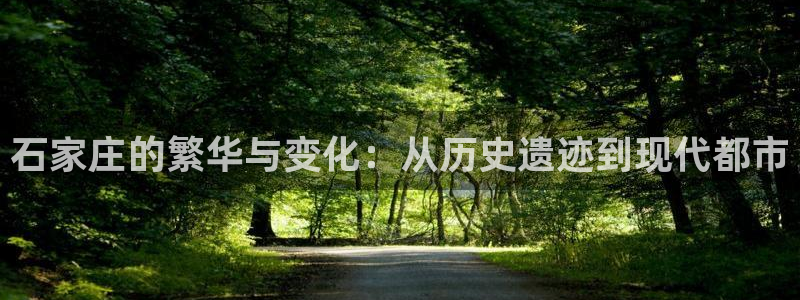 新宝5安卓版：石家庄的繁华与变化：从历史遗迹到现代都市