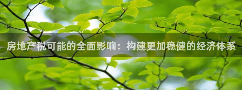 新宝j2O5O5O：房地产税可能的全面影响：构建更加稳健的经