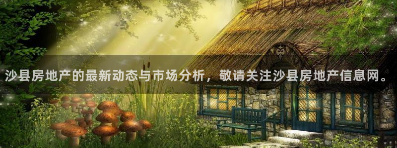 新宝5卫74OOO5：沙县房地产的最新动态与市场分析，敬请关