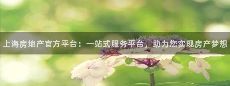 新宝5测：上海房地产官方平台：一站式服务平台，助力您实现房产