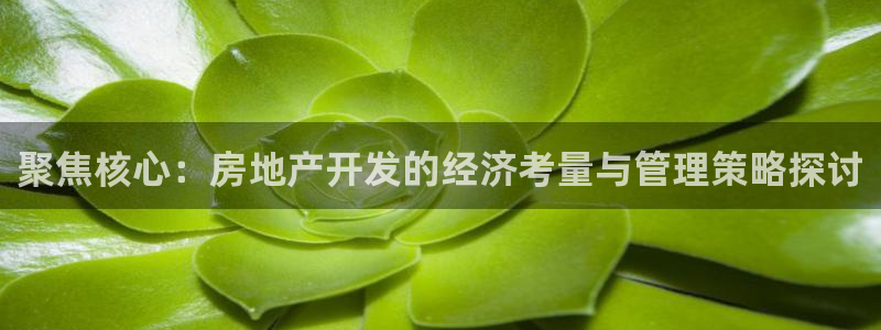 新宝5褚32OO59：聚焦核心：房地产开发的经济考量与管理策