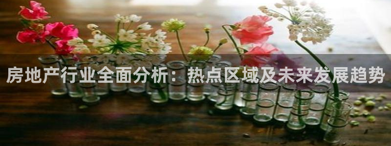 新宝5代理：房地产行业全面分析：热点区域及未来发展趋势