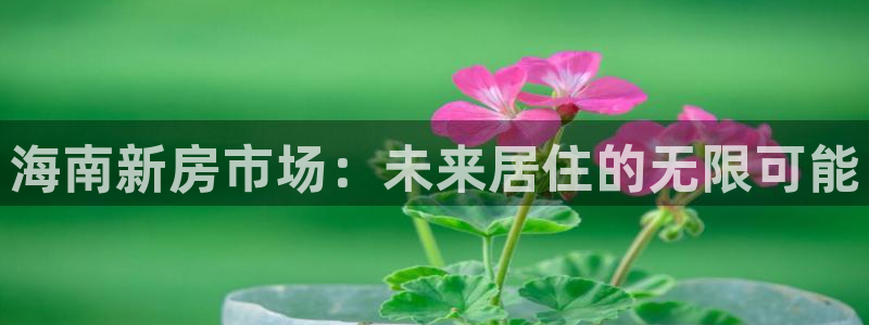 新宝5如何注册登录：海南新房市场：未来居住的无限可能
