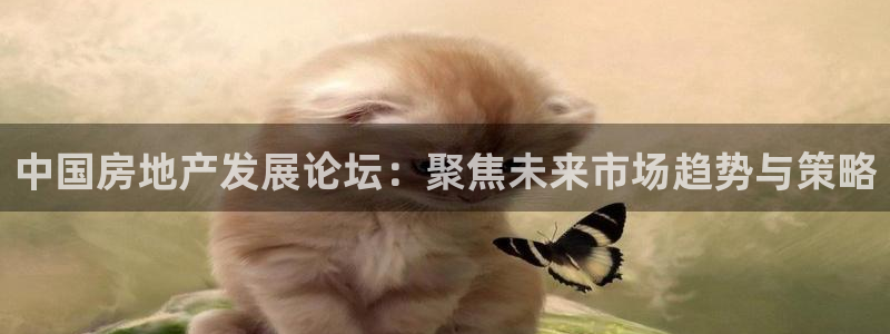新宝股东王听2 5 5