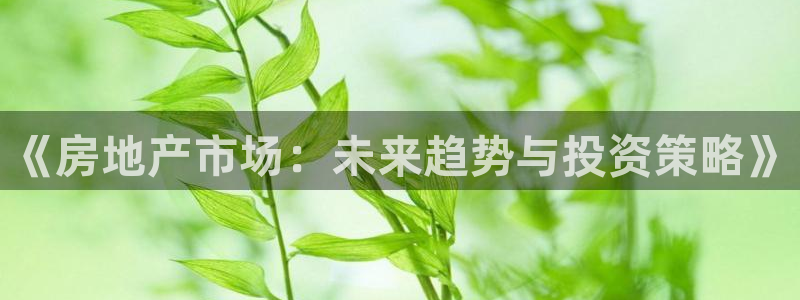 新宝5注册账号：《房地产市场：未来趋势与投资策略》