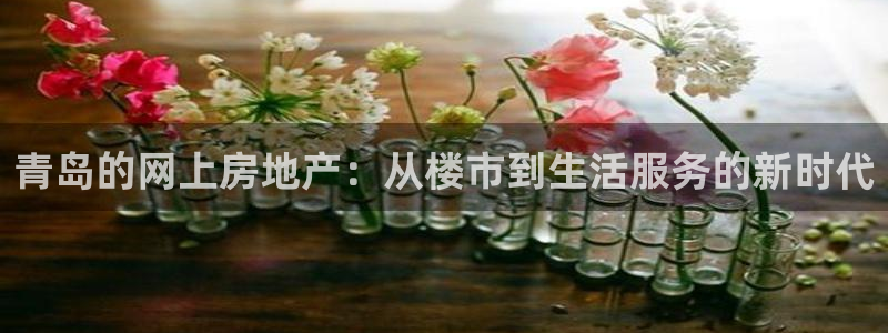 新宝5找找74OOO5：青岛的网上房地产：从楼市到生活服务的