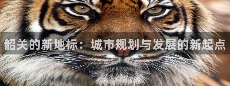 新宝5网站：韶关的新地标：城市规划与发展的新起点