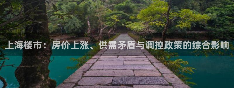 新宝5口67五壹叁八：上海楼市：房价上涨、供需矛盾与调控政策