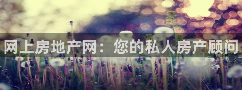 新宝5注册首页：网上房地产网：您的私人房产顾问