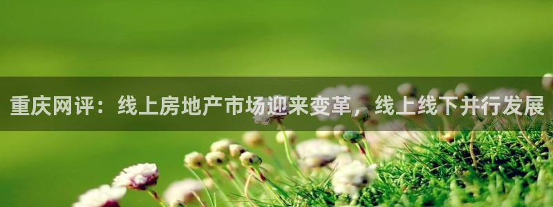 新宝5新宝6顺达：重庆网评：线上房地产市场迎来变革，线上线下