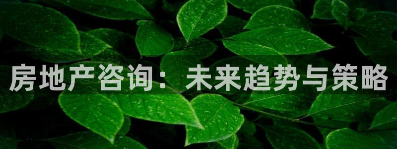 新宝5测速登录：房地产咨询：未来趋势与策略
