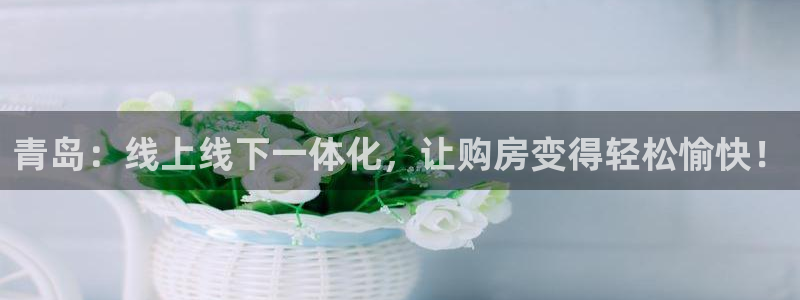 新宝5娱乐注册：青岛：线上线下一体化，让购房变得轻松愉快！