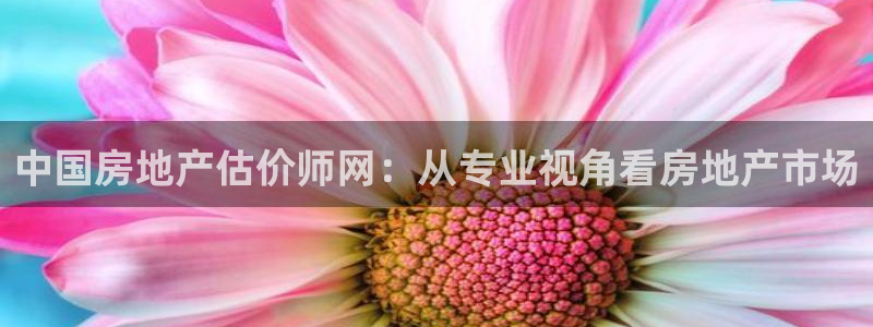 新宝5首页：中国房地产估价师网：从专业视角看房地产市场