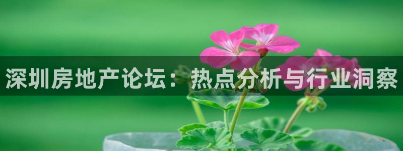 新宝娱乐5入口