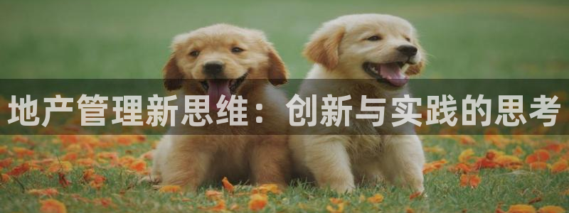 新宝5注册登录：地产管理新思维：创新与实践的思考
