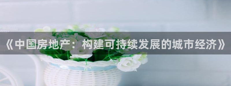 新宝5链接：《中国房地产：构建可持续发展的城市经济》